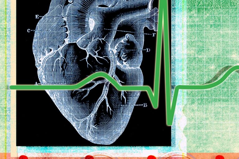 Diet, exercise, and sleep affect heart health, but why?
