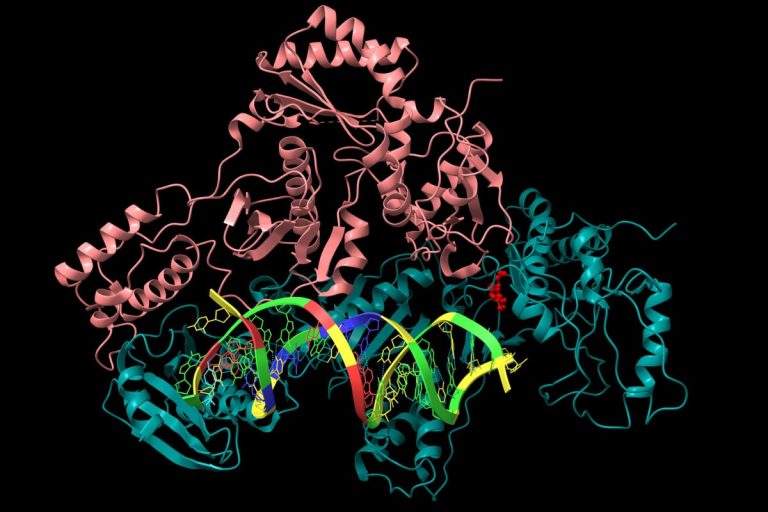 HIV drug stabilizes progression in metastatic colorectal cancer