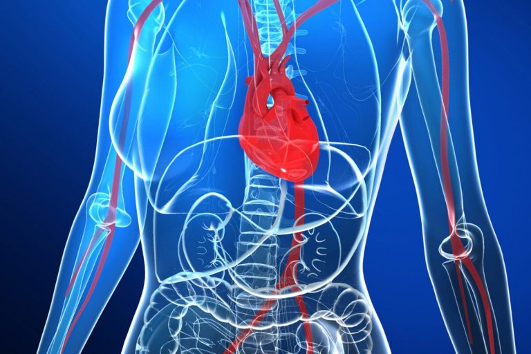 New genetic insights on common cause of heart attack in younger women