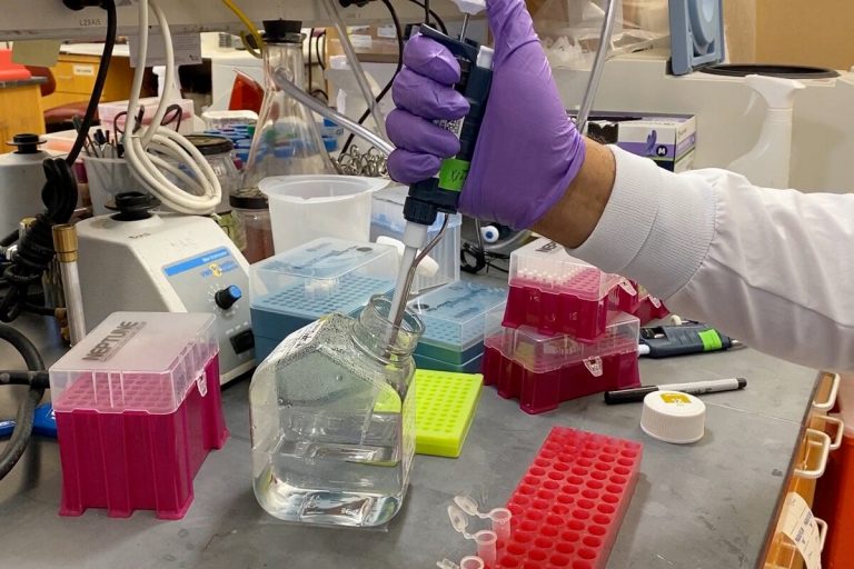 Reversing glaucoma damage and vision loss